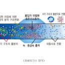 (주)나노비전 이미지