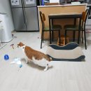 별님달님 네이버블로그