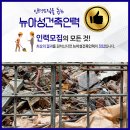 뉴아성인력 이미지