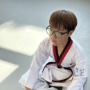 용인대박사청룡태권도 이미지