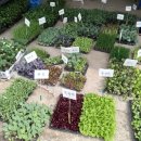 분토농장 이미지