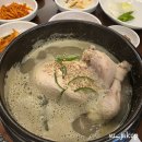 밀양삼계탕맛집 영남루13월 점심특선 닭칼국수 보양식 후기