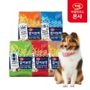 싹Dog 이미지