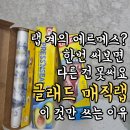 랩팍 - 의정부시 오목로 196 | 수제 샌드위치 퀄리티가 완전히 달라졌습니다 (feat. 글래드 매직랩 내돈내산 후기)