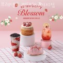 브레댄코평택해군기지점 | 포승맛집 브레댄코 평택해군기지점 솔직리뷰