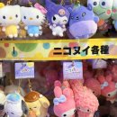 한아름 건강식품 | 후쿠오카 돈키호테 쇼핑리스트 텐진역 본점 추천템 면세 쿠폰