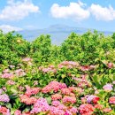 버스정류소_공천포 이미지