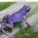 부동산전문행정사사무소 이미지