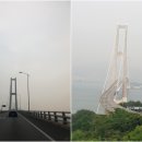 잠수기수협6호횟집 이미지