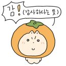 시가런