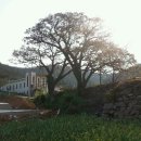 송곡 경로당 이미지