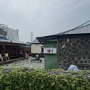 포구로 | [제주도2탄]협재수우동, rnr베이커리, 판포포구 스노쿨링 솔직 후기🫧, 협재술집김씨술생활