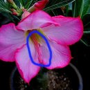 석화농장 이미지