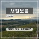 해질녘민박 | 제주 새별오름, 낮보다 아름다운 해질녘 억새 명소 산책 후기