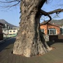 이동면 화계 이미지