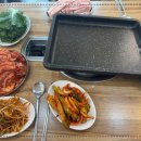 황금복돼지 이미지