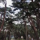솔숲민박 이미지
