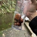 행구농장 이미지