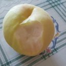 대송농장 이미지