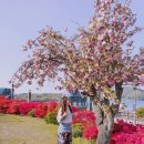 GS25논산강경점 | "너랑 나랑 봄길 따라~~ 강경, 논산 탐정호 드라이브 데이트~♡" 후기