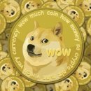 도지 이미지