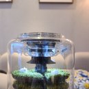 쁘띠뽀레 이미지