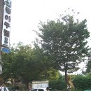 신풍아구찜 이미지