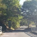 사슴출강농장 이미지