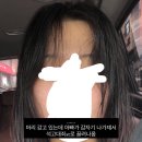 에버세이브르꼬끄 | 8월 1주 차