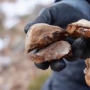 약초민박 이미지