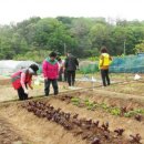 이성농장 이미지