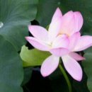 운호농장 이미지