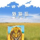 미플보드게임