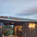 날외15 | [날외일오(날외15)] 제주 서귀포 대정읍 아늑한 분위기의 구옥 카페 대정읍 카페 추천 후기