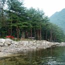 갈천오토캠핑장 이미지