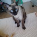 감천1동-6 이미지