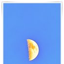 초등수학지도사 2급 | 초등수학지도사 2급 준비하며 알게 된 예상 문제 유형