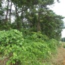 성해2리마을회관 이미지