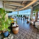 코우코알라 이미지