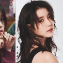 꽃갈피 이미지