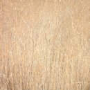 벌교생태공원 이미지