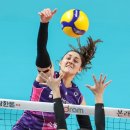 흥국생명 이미지