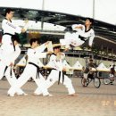 금태회금메달태권도 이미지