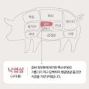 제주돈가돈 이미지