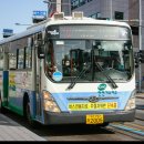 주정차단속-43 이미지