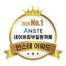 안스선정