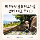 비손농장 숲속 데크마을 2번 후기｜강아지와 함께 다녀온 바다 앞 캠핑장