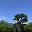 비선대만남의광장 이미지