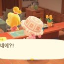 디자인맑음 이미지