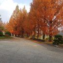 가치마루농장 이미지